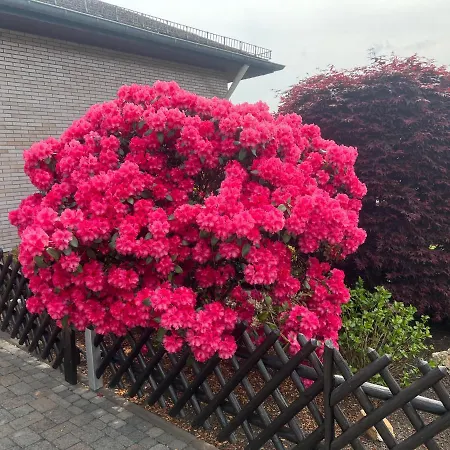 Ferienwohnungjahrsfeld Διαμέρισμα *